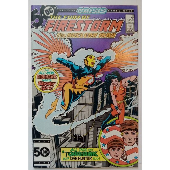 The Fury of Firestorm #42 (1982) Gerry Conway Bagged and Boarded Comic Book - Picture 2 of 3